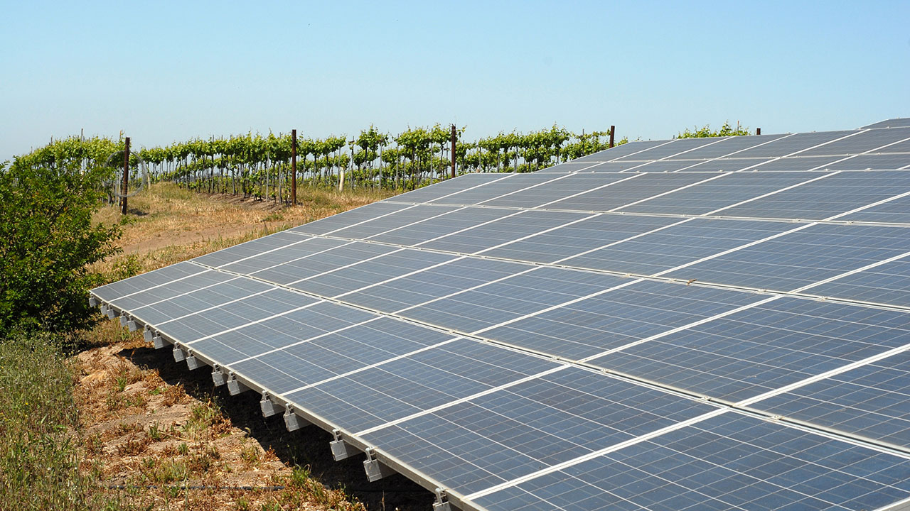 An array of solar panels set up next to a farmer's vineyard